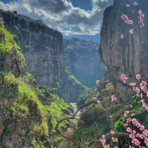 اگه ارومیه بشی روت اَرَس میکشم واست حبس توی قفس میکشم